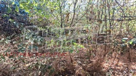 ������� ���� | Imot.bg � ����� ������ 14