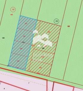 ����� ������� ������,�. ��������, ������ �������