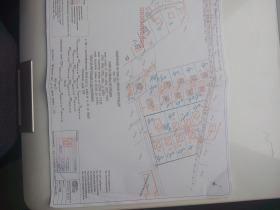 ������ ������� ������