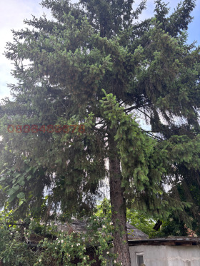 ������� ������ | Imot.bg � ����� ������ 17