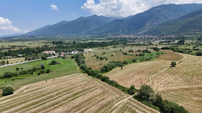 Satılık  Komplo bölge Köstendil , Dupnica , 11047 metrekare | 15805192 - görüntü [7]
