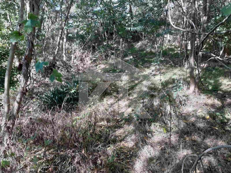 Продава ПАРЦЕЛ, гр. Варна, м-т Сотира, снимка 2 - Парцели - 52290087