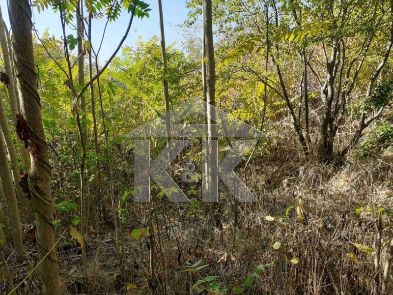 Продава ПАРЦЕЛ, гр. Варна, м-т Сотира, снимка 6 - Парцели - 52290087