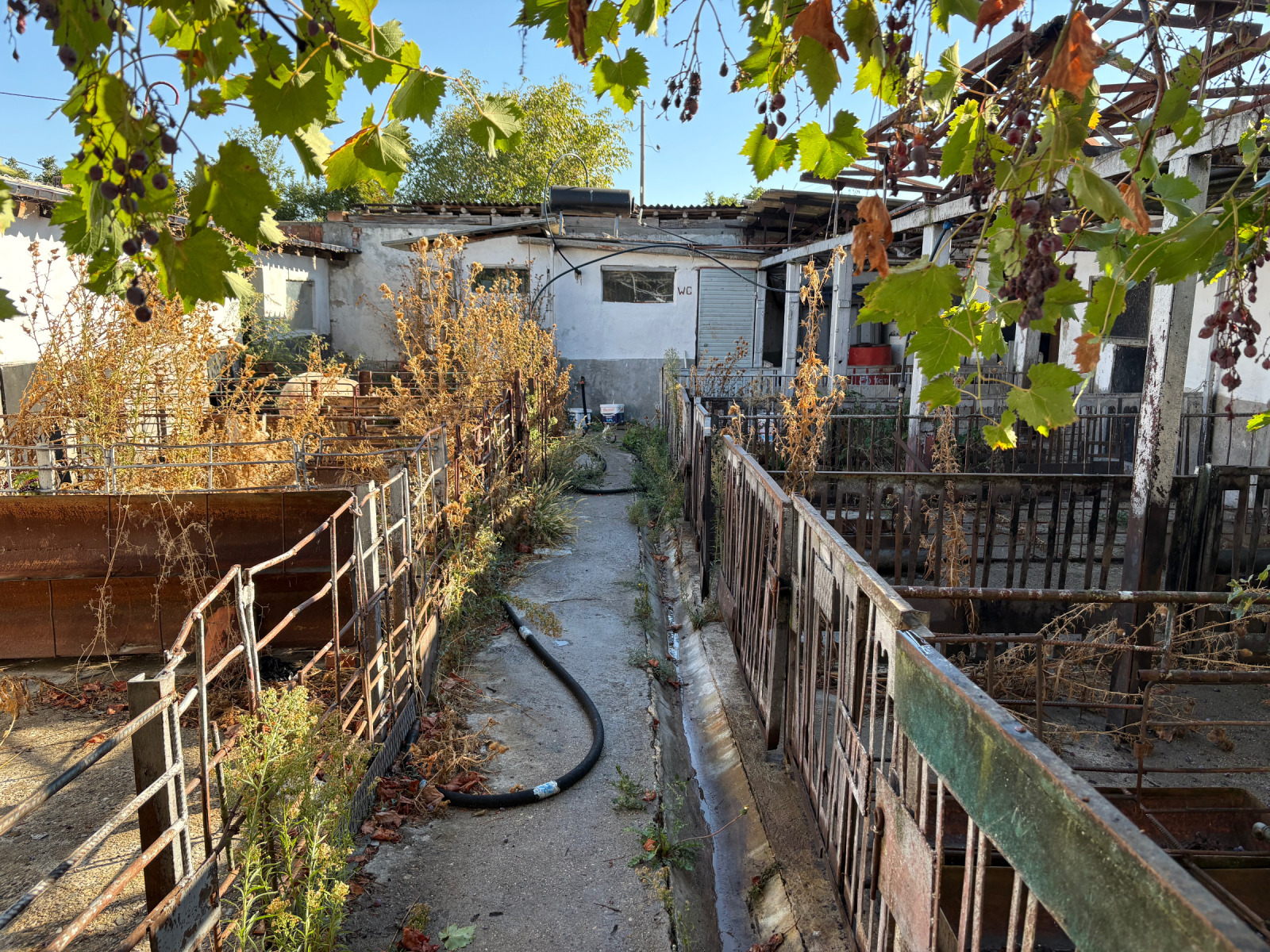 ������� ����� | Imot.bg � ����������� 3
