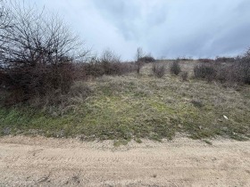 ������ ������� ������