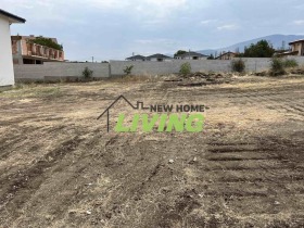 ����� ������� ������,�. ��������, ������ �������