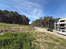 ����� ������� ������,��. ������, ������ ������