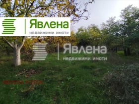 ����� ������� ������,���� �����, ���������