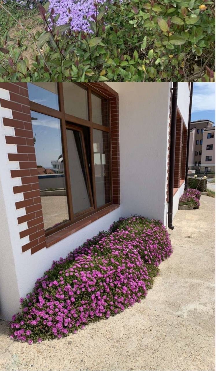 Продава 1-СТАЕН, гр. Варна, Виница, снимка 3 - Апартаменти - 52400580