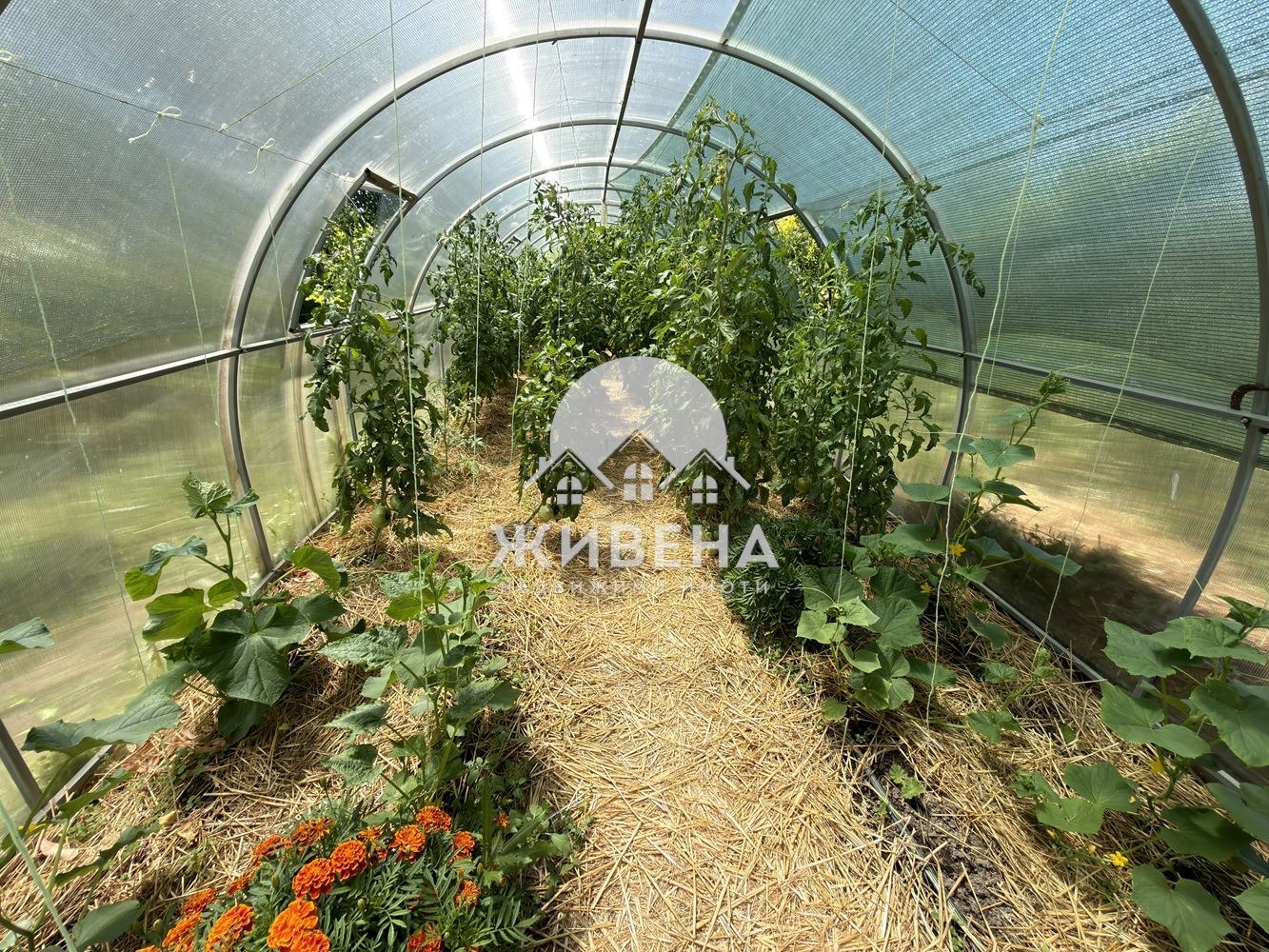 Продава КЪЩА, с. Камен бряг, област Добрич, снимка 17 - Къщи - 55050349