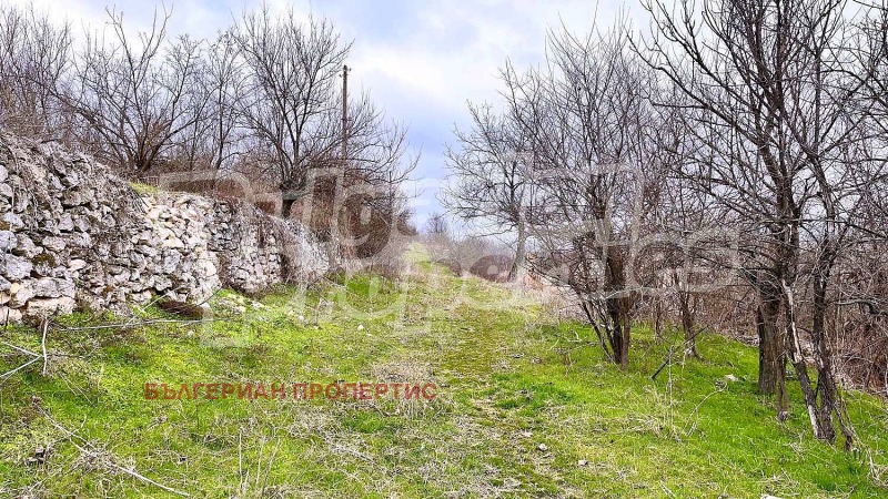 Til salg  Grund region Stara Zagora , Gorno Belevo , 1024 kvm | 49561827 - billede [12]