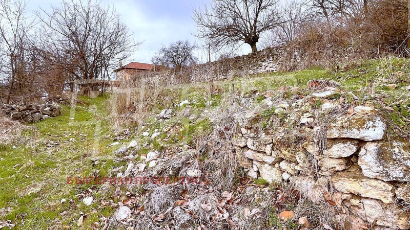 Til salg  Grund region Stara Zagora , Gorno Belevo , 1024 kvm | 49561827 - billede [11]