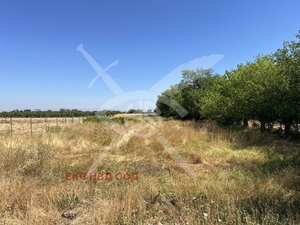 In vendita  Complotto regione Plovdiv , Tsalapitsa , 3181 mq | 68729395 - Immagine [2]