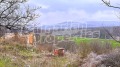 Продава ПАРЦЕЛ, с. Горно Белево, област Стара Загора, снимка 2