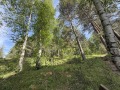 Продава 2-СТАЕН, област Пазарджик, гр. Велинград • 85000 € • 86379750 — Holmes.bg