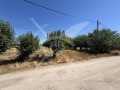 Продава ПАРЦЕЛ, област Пловдив, с. Цалапица • 124059 € / 242638.31 лв. • 58260759 1