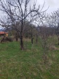 Продава ЗЕМЕДЕЛСКА ЗЕМЯ, гр. Сапарева баня, област Кюстендил, снимка 6