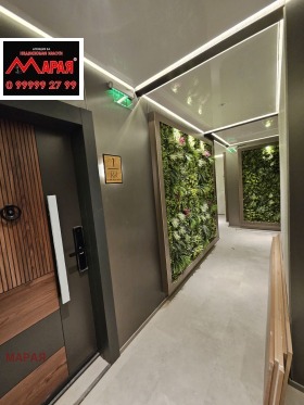 ����� ������� 3-�����,���� ����, ����� ������