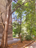 Продава 2-СТАЕН, град София, Оборище • 220000 € • 36550724 — Holmes.bg