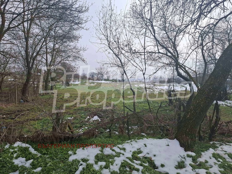 Продава ПАРЦЕЛ в област Ямбол, с. Добрич - 3740 кв.м / 12 000 € » 23 469.96 лв., БЪЛГЕРИАН ПРОПЕРТИС