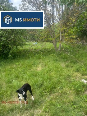   | Imot.bg    2