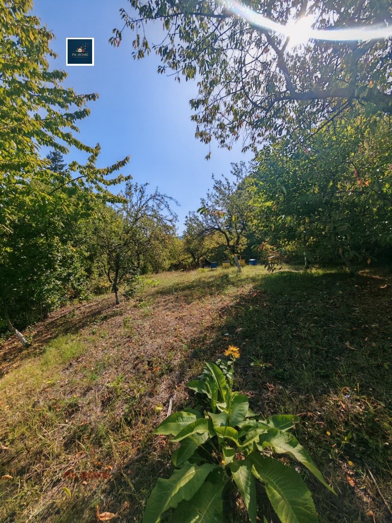 À venda  Casa Sofia , Vladaia , 60 m² | 28014862 - imagem [4]