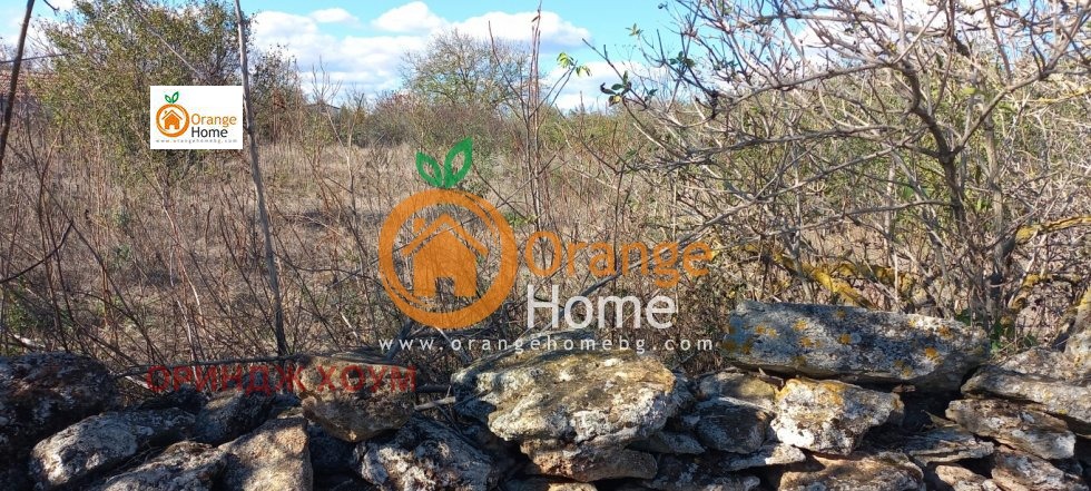 Продава ПАРЦЕЛ, с. Българево, област Добрич, снимка 5 - Парцели - 53775626