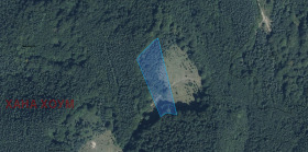 ����� ������� ������,�. ���� ����, ������ �����