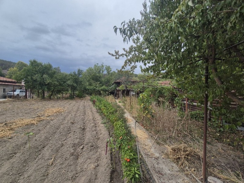На продаж  Будинок область Пазарджик , Поибрене , 95 кв.м | 43690083 - зображення [17]