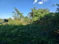 Продава КЪЩА, с. Невестино, област Кюстендил, снимка 16