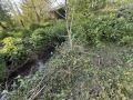 Продава ПАРЦЕЛ, с. Крушуна, област Ловеч, снимка 15