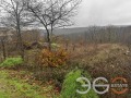 Продава  Парцел град Варна , с. Звездица , 1610 кв.м | 82821261