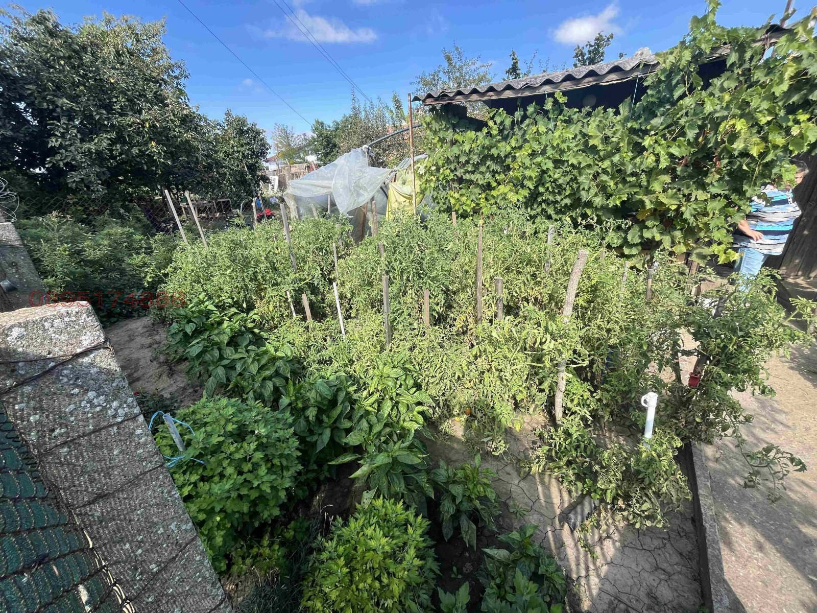 ������� ������ | Imot.bg � ����������� 4