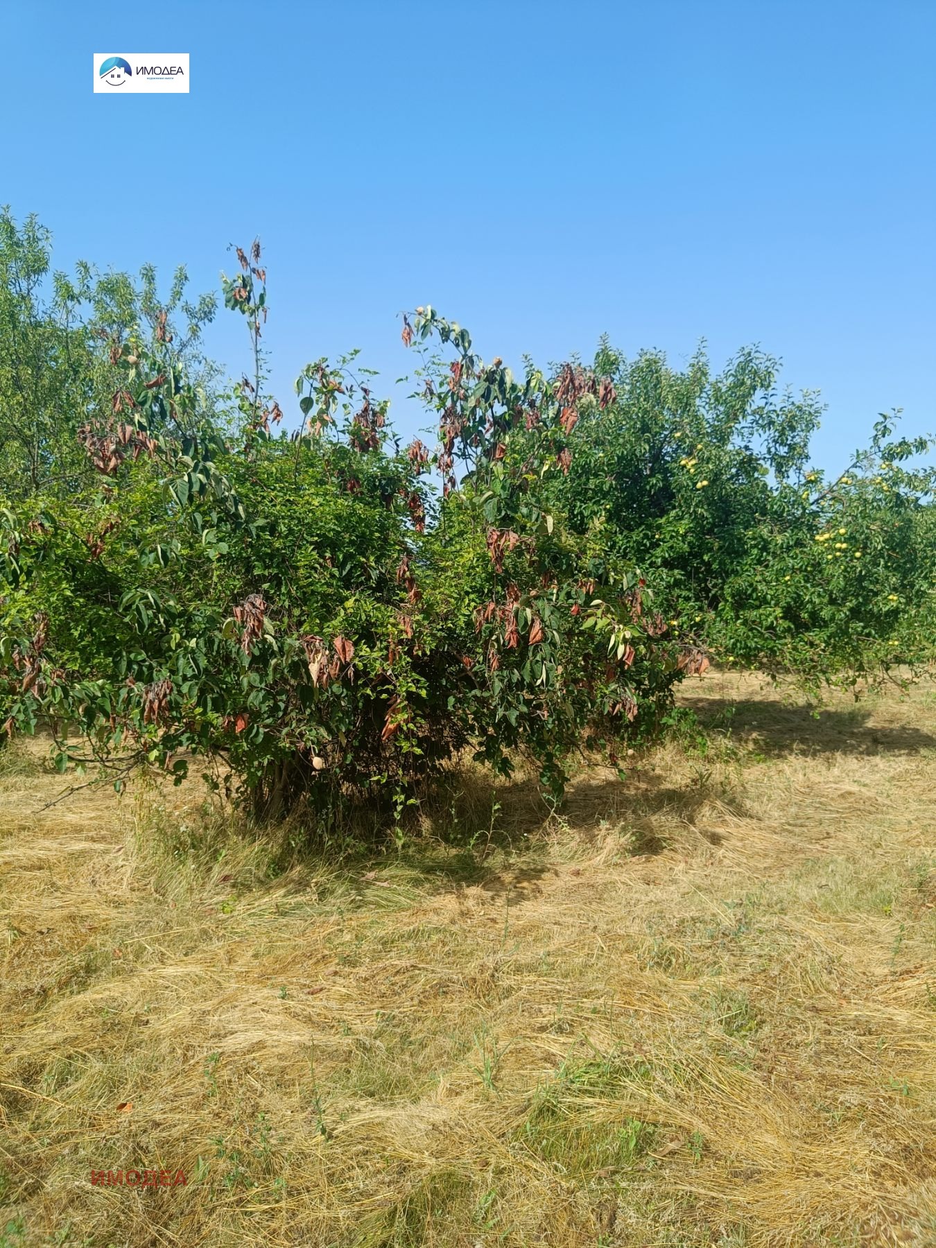Продава КЪЩА, с. Джулюница, област Велико Търново, снимка 5 - Къщи - 54599490