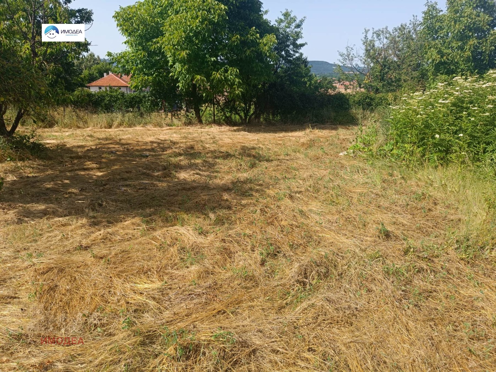 Продава КЪЩА, с. Джулюница, област Велико Търново, снимка 3 - Къщи - 54599490
