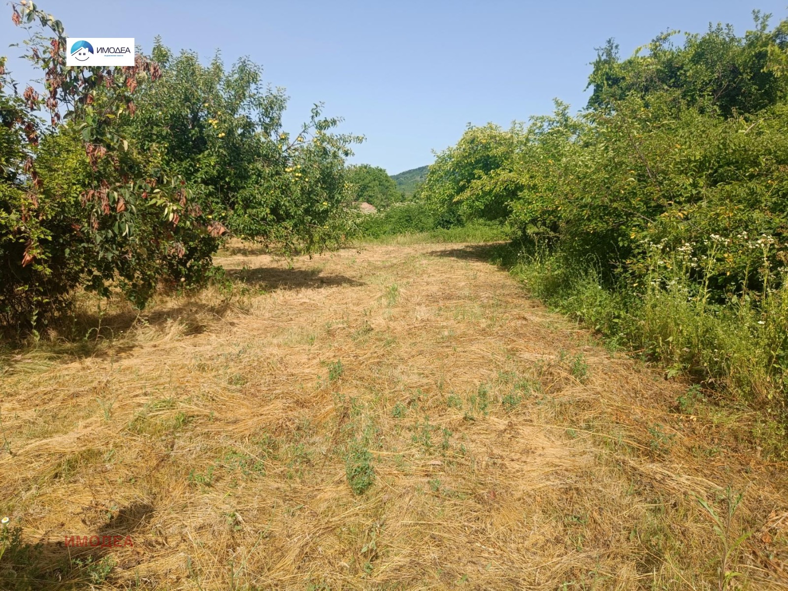 Продава КЪЩА, с. Джулюница, област Велико Търново, снимка 4 - Къщи - 54599490