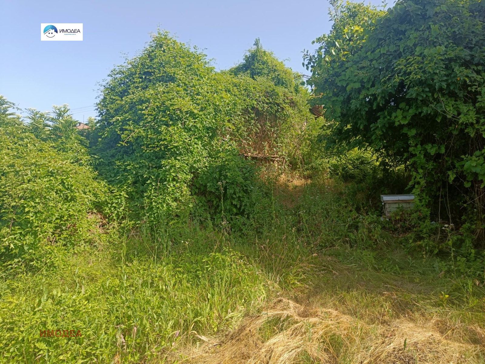Продава КЪЩА, с. Джулюница, област Велико Търново, снимка 2 - Къщи - 54599490
