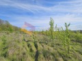 Продава ПАРЦЕЛ, с. Приселци, област Варна, снимка 11