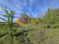 Продава ПАРЦЕЛ, с. Приселци, област Варна, снимка 5