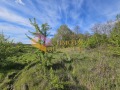 Продава ПАРЦЕЛ, с. Приселци, област Варна, снимка 8