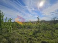 Продава  Парцел област Варна , с. Приселци , 3000 кв.м | 72483468 - изображение [10]