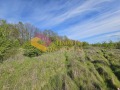 Продава  Парцел област Варна , с. Приселци , 3000 кв.м | 72483468 - изображение [4]