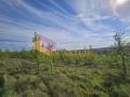Продава  Парцел област Варна , с. Приселци , 3000 кв.м | 72483468 - изображение [2]