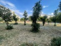 Продава 3-СТАЕН, град София, Люлин 4 • 170000 € • 42581665 — Holmes.bg