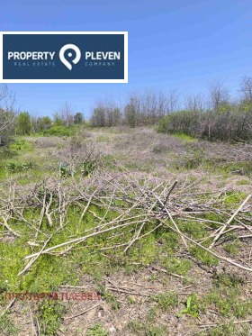 Grund Podem, region Pleven 1