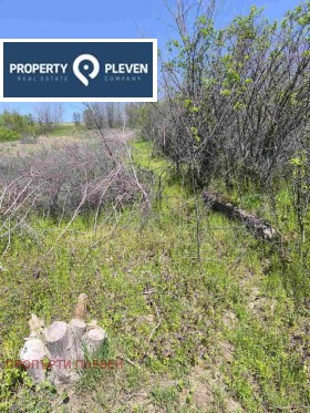 Grund Podem, region Pleven 2