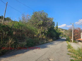 ����� ������� ������,�. �������, ������ ����� ������