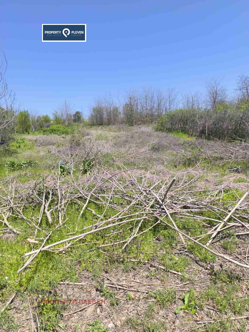 For Sale  Plot region Pleven , Podem , 1124 sq.m | 51527554