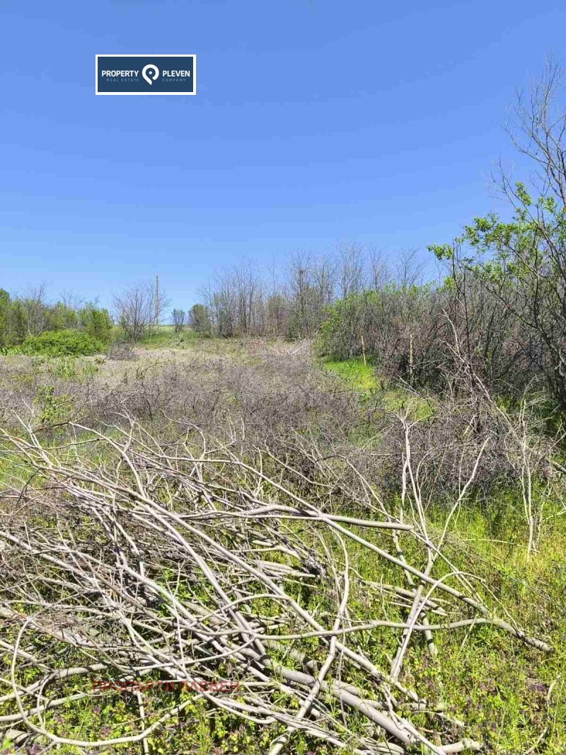 For Sale  Plot region Pleven , Podem , 1124 sq.m | 51527554 - image [4]