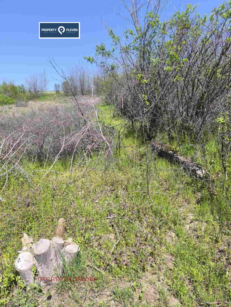 For Sale  Plot region Pleven , Podem , 1124 sq.m | 51527554 - image [2]